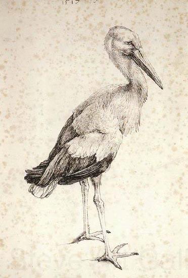 Albrecht Durer The Stork France oil painting art